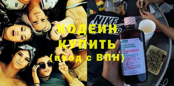 амф Няндома
