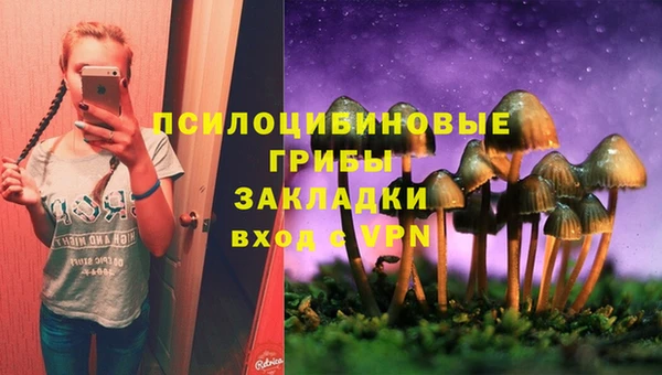 спиды Нязепетровск
