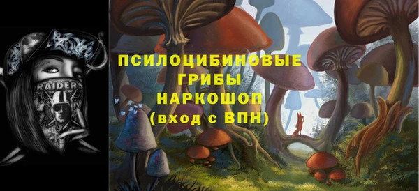 амф Няндома