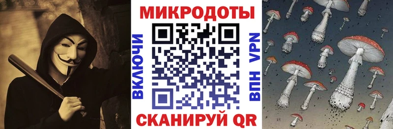блэк спрут рабочий сайт Чебаркуль Псилоцибиновые грибы Cubensis