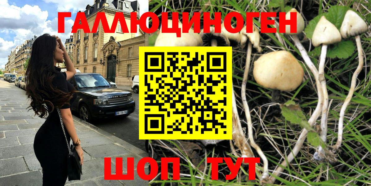 купить наркотики цена  Псилоцибиновые грибы Magic Shrooms  Вход с VPN  Чебаркуль 