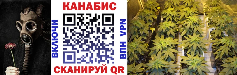 Бошки марихуана OG Kush  наркошоп  Чебаркуль 
